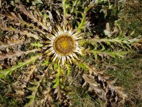 photo coins arrondis