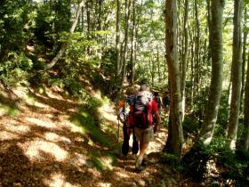 photo coins arrondis