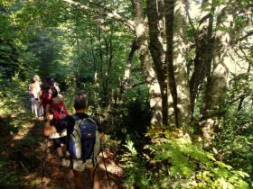 photo coins arrondis