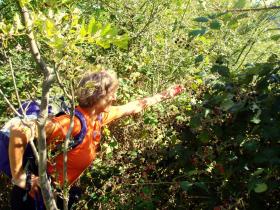 photo coins arrondis