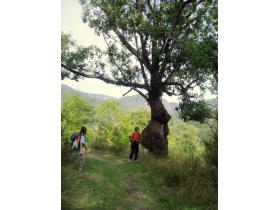 photo coins arrondis