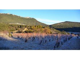 photo coins arrondis