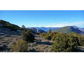 photo coins arrondis