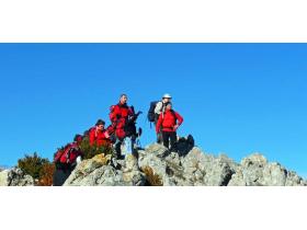 photo coins arrondis