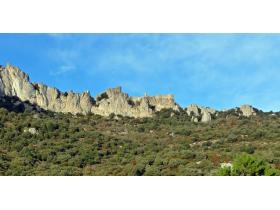 photo coins arrondis