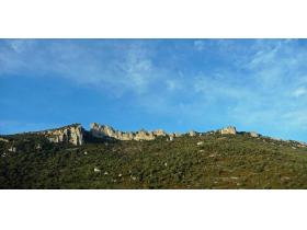 photo coins arrondis