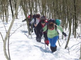 photo coins arrondis