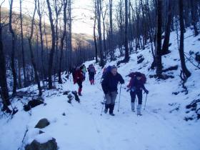 photo coins arrondis