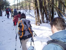 photo coins arrondis