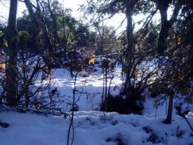 photo coins arrondis