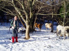 photo coins arrondis