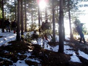 photo coins arrondis