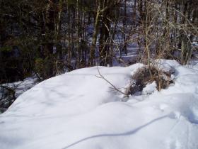 photo coins arrondis