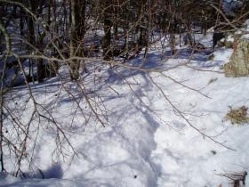 photo coins arrondis