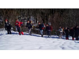 photo coins arrondis