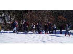 photo coins arrondis