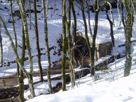 photo coins arrondis