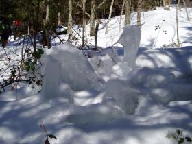 photo coins arrondis