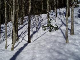 photo coins arrondis