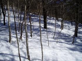 photo coins arrondis