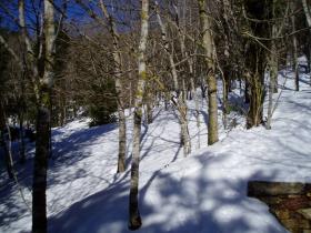 photo coins arrondis