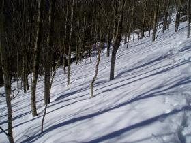 photo coins arrondis