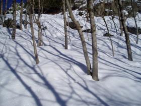 photo coins arrondis