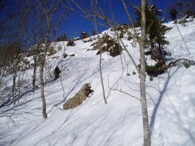 photo coins arrondis