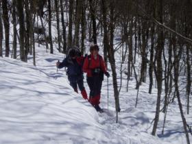 photo coins arrondis