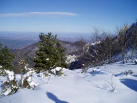 photo coins arrondis