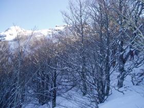 photo coins arrondis