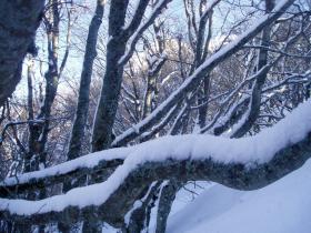 photo coins arrondis