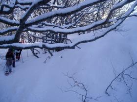 photo coins arrondis