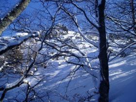 photo coins arrondis