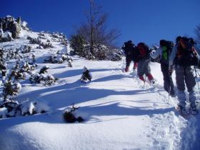 photo coins arrondis