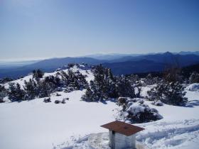 photo coins arrondis