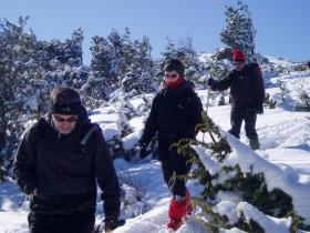 photo coins arrondis