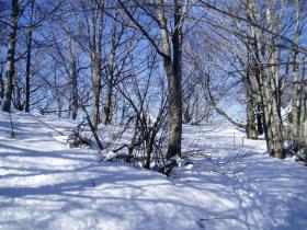 photo coins arrondis