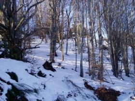 photo coins arrondis