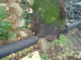 photo coins arrondis