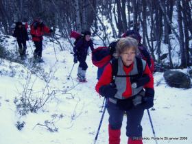 photo coins arrondis