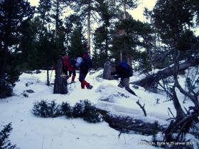 photo coins arrondis