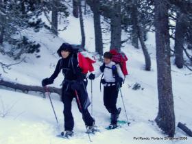 photo coins arrondis