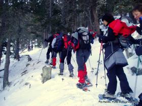 photo coins arrondis