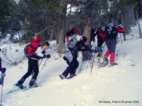 photo coins arrondis