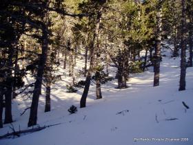 photo coins arrondis