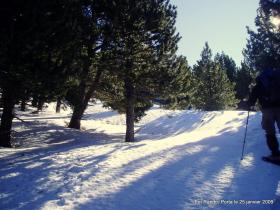 photo coins arrondis