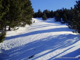 photo coins arrondis