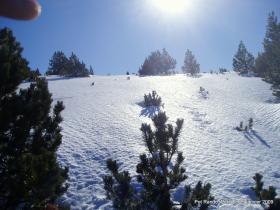 photo coins arrondis