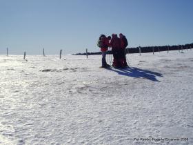 photo coins arrondis